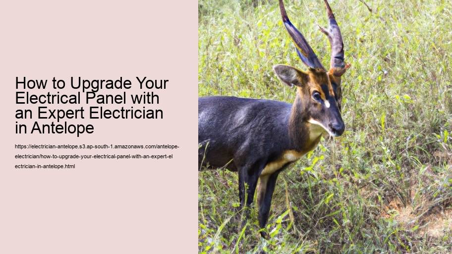 How to Upgrade Your Electrical Panel with an Expert Electrician in Antelope