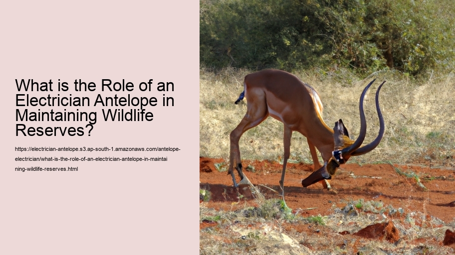 What is the Role of an Electrician Antelope in Maintaining Wildlife Reserves?